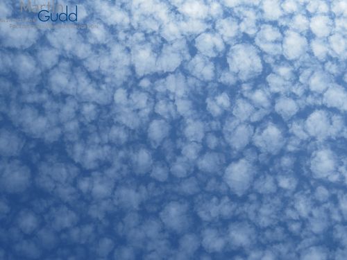 Altocumulus stratiformis perlucidus - große Wolkenlücken